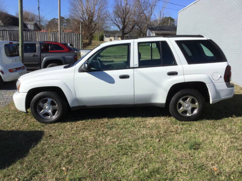 2004 Chevrolet TrailBlazer for sale at H & H Auto Sales in Athens TN