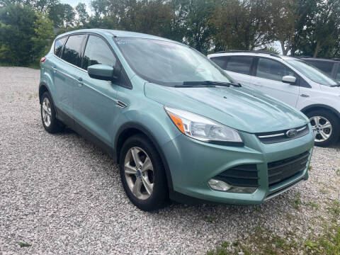 2013 Ford Escape for sale at HEDGES USED CARS in Carleton MI