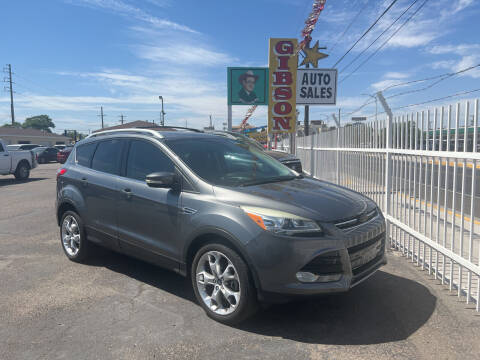 2014 Ford Escape for sale at Robert B Gibson Auto Sales INC in Albuquerque NM