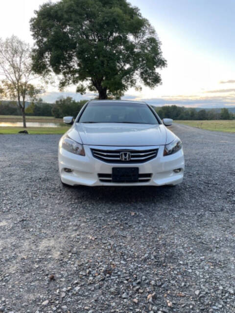 2011 Honda Accord for sale at Cove Creek Motors LLC in Damascus, AR