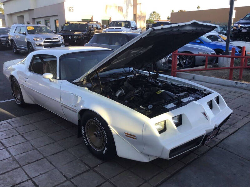1981 Pontiac Firebird Trans Am