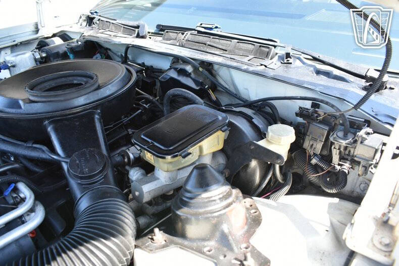 1984 Pontiac Firebird Trans Am