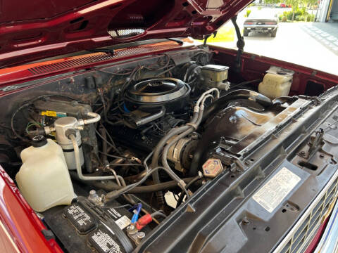 1987 Chevrolet R/V 10 Series