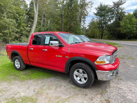 2010 Dodge Ram 1500 for sale at Route 29 Auto Sales in Hunlock Creek PA