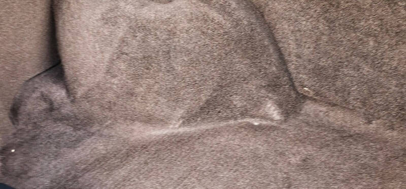 1980 Cadillac Eldorado