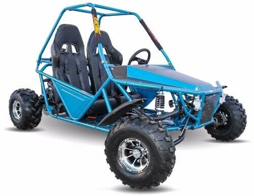 2020 200cc Batman Go Kart Automatic With Reverse