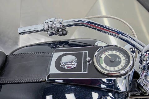 2009 Harley-Davidson FLTSN