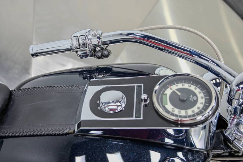 2009 Harley-Davidson FLTSN