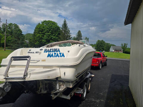 2002 Sea Ray 225