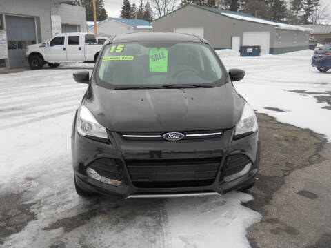 2015 Ford Escape for sale at Shaw Motor Sales in Kalkaska MI