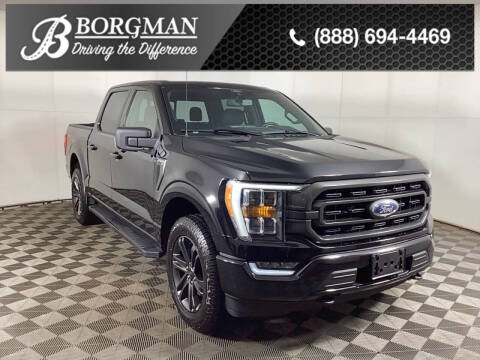 2021 Ford F-150 for sale at BORGMAN OF HOLLAND LLC in Holland MI