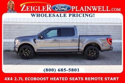 2022 Ford F-150 for sale at Zeigler Ford of Plainwell- Jeff Bishop - Zeigler Ford of Lowell in Lowell MI