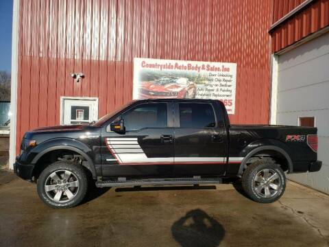 2014 Ford F-150 for sale at Countryside Auto Body & Sales, Inc in Gary SD