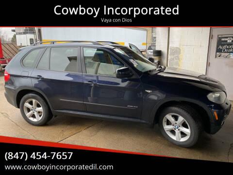 2009 BMW X5 for sale at Cowboy Incorporated in Waukegan IL