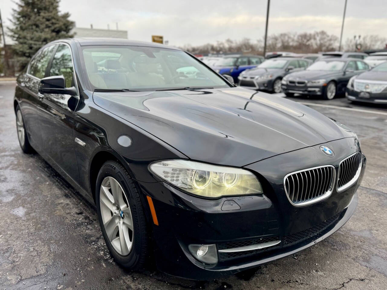 2013 BMW 5 Series for sale at Opus Motorcars in Utica, MI