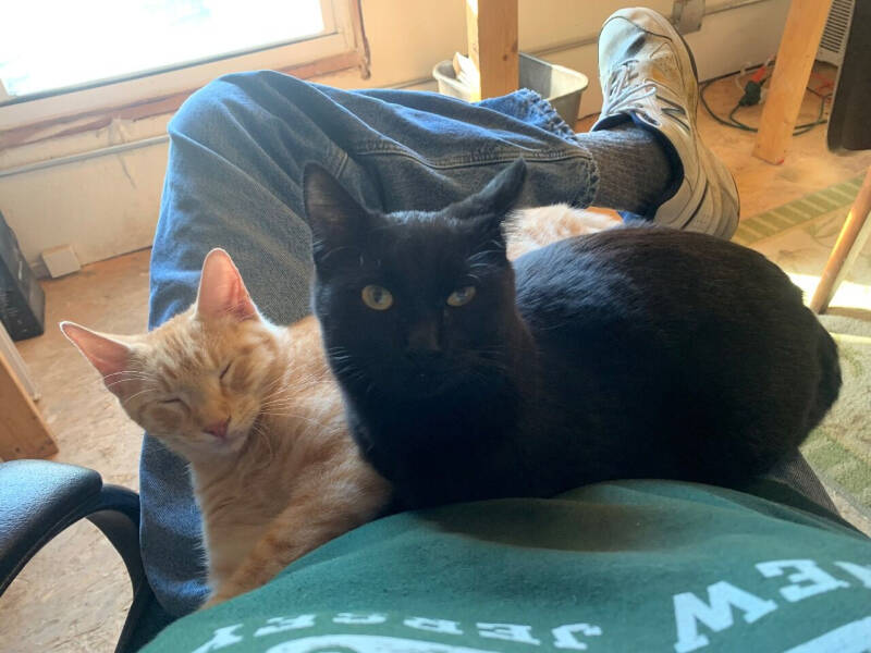 1987 GMC P30 Forward Control Chassis