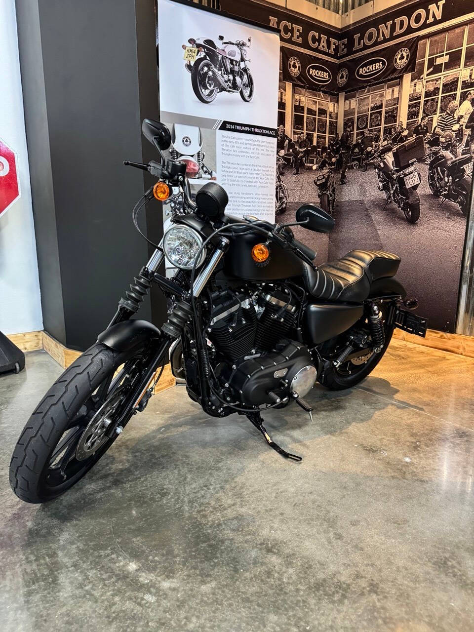 2022 Harley-Davidson XL 883 Sportster for sale at TEXAS MOTORS POWERSPORT in ORLANDO, FL