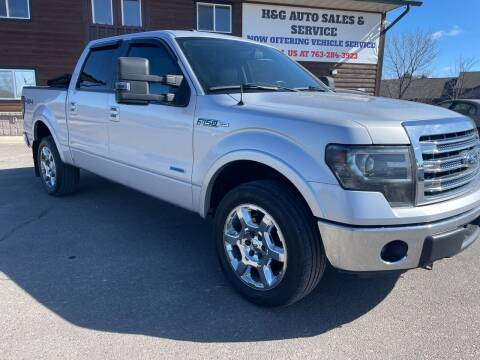 2014 Ford F-150 for sale at H & G AUTO SALES LLC in Princeton MN