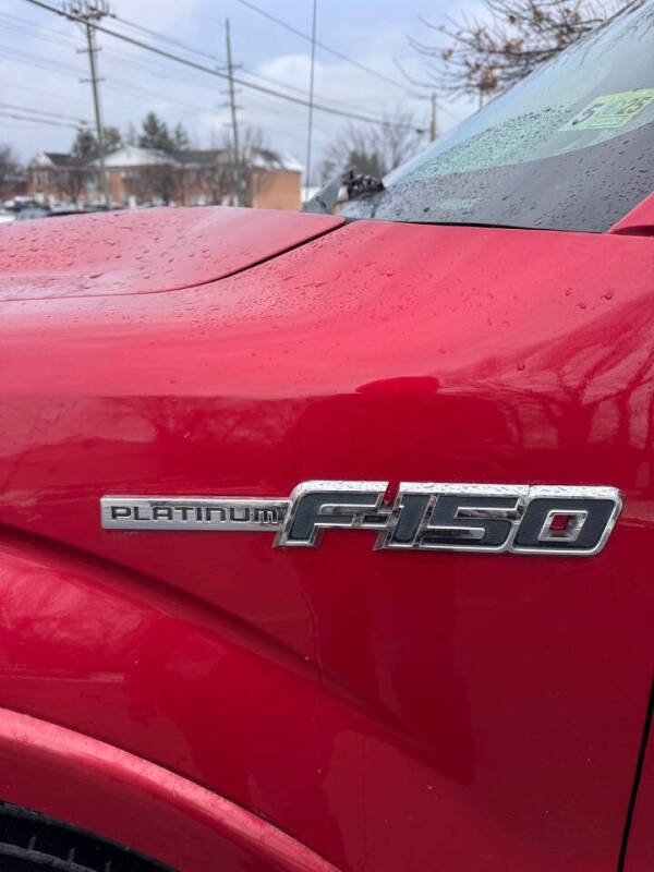 2010 Ford F-150 Platinum