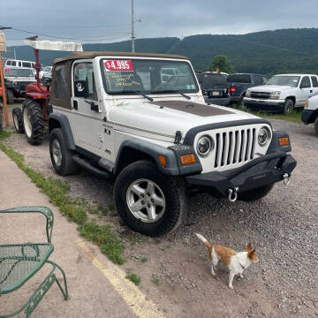 2002 Jeep Wrangler for sale at Troy's Auto Sales in Dornsife PA