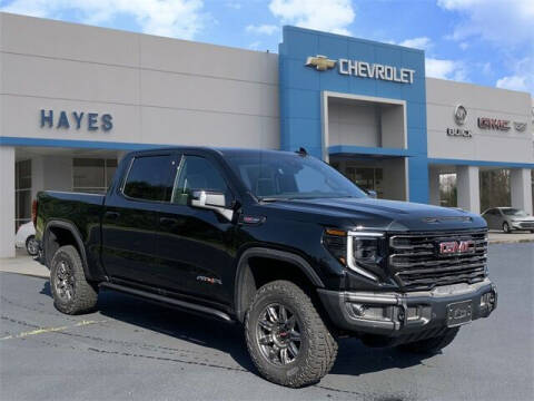 2024 GMC Sierra 1500 for sale at HAYES CHEVROLET Buick GMC Cadillac Inc in Alto GA