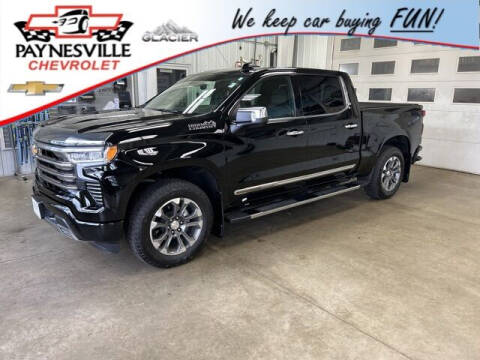 2022 Chevrolet Silverado 1500 for sale at Paynesville Chevrolet in Paynesville MN