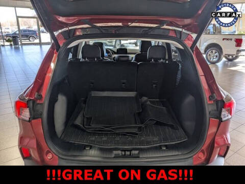 2022 Ford Escape Hybrid SEL