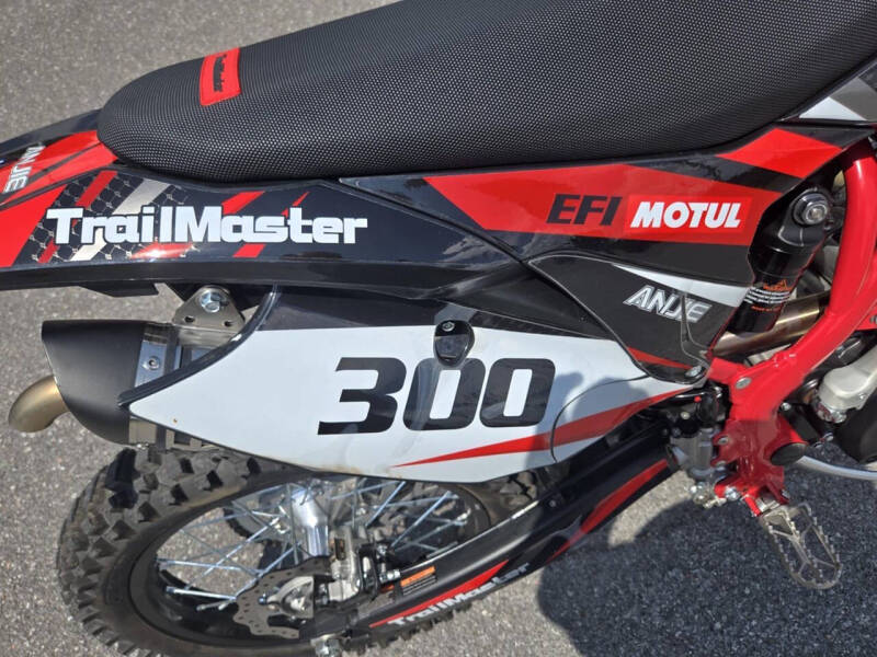 2024 TrailMaster TM 38EX-300