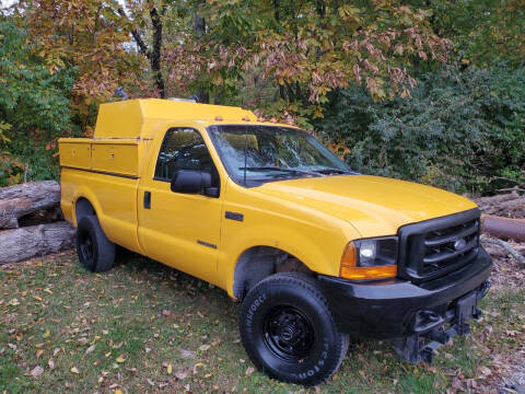 1999 Ford F-250 Super Duty for sale at Ernie's Auto LLC in Columbus OH