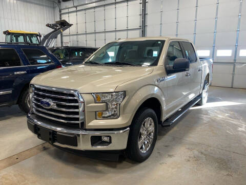 2017 Ford F-150 for sale at RDJ Auto Sales in Kerkhoven MN