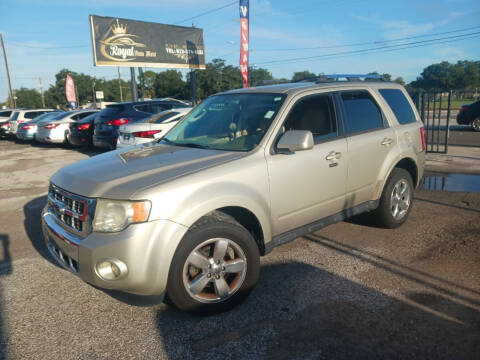 2011 Ford Escape for sale at ROYAL AUTO MART in Tampa FL