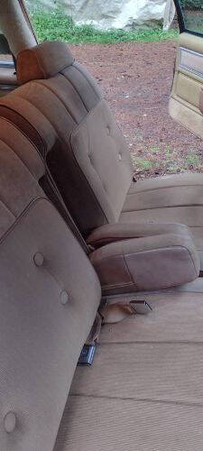 1979 Chevrolet Caprice