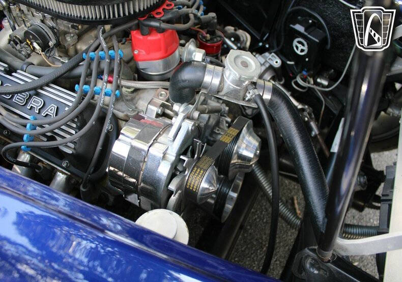1965 Acura Cobra