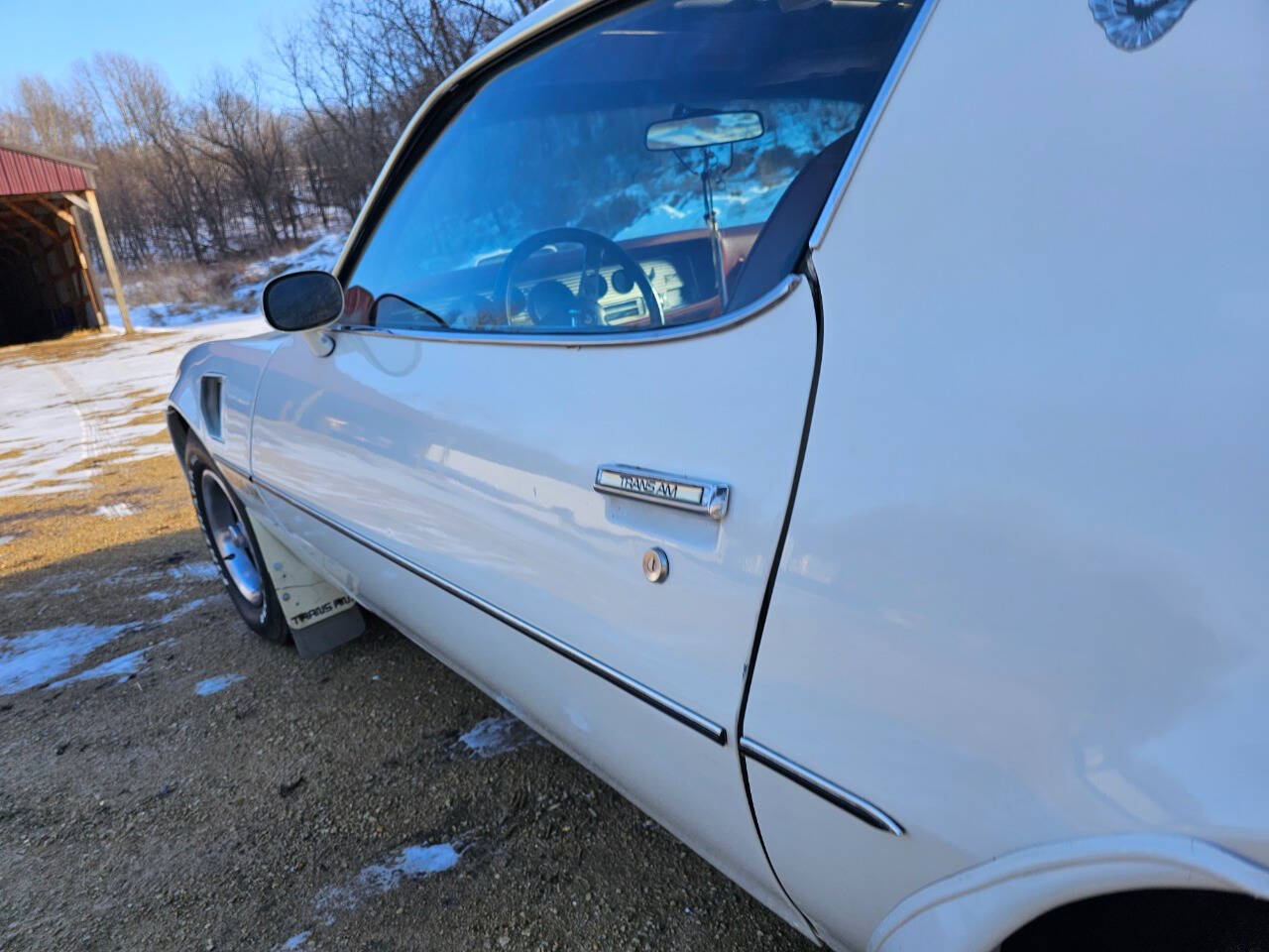 1976 Pontiac Trans Am 172