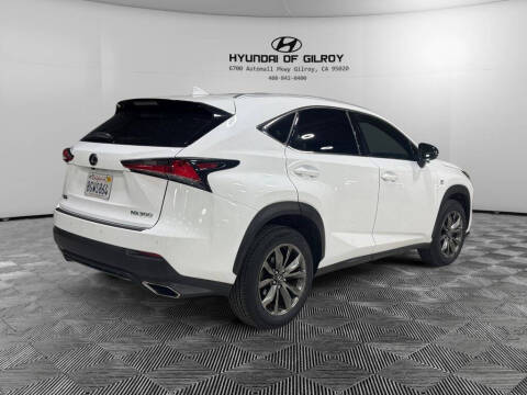 2019 Lexus NX 300 F SPORT