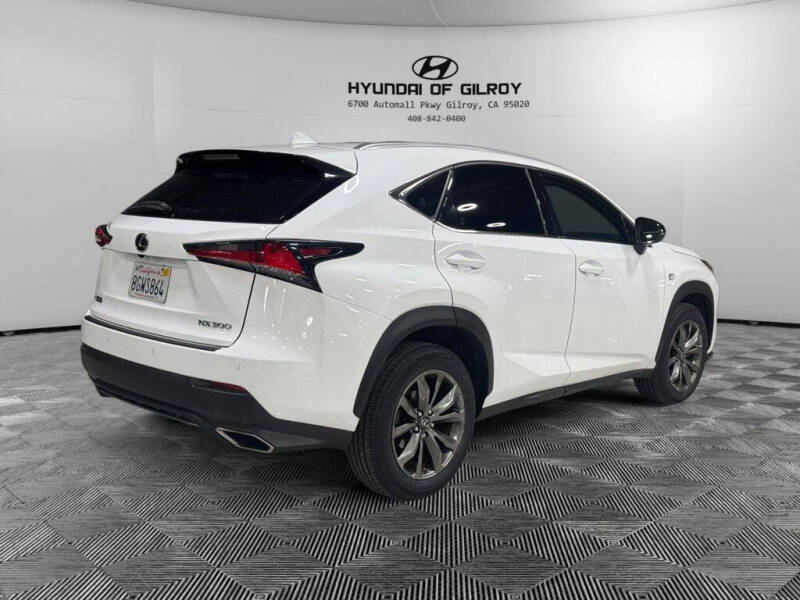 2019 Lexus NX 300 F SPORT