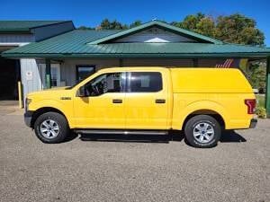 2015 Ford F-150 for sale at Clarks Auto Sales Inc in Lakeview, MI