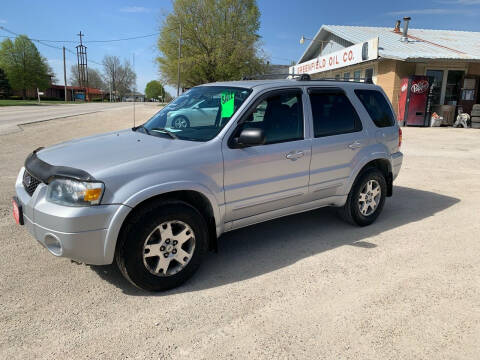 2005 Ford Escape for sale at GREENFIELD AUTO SALES in Greenfield IA