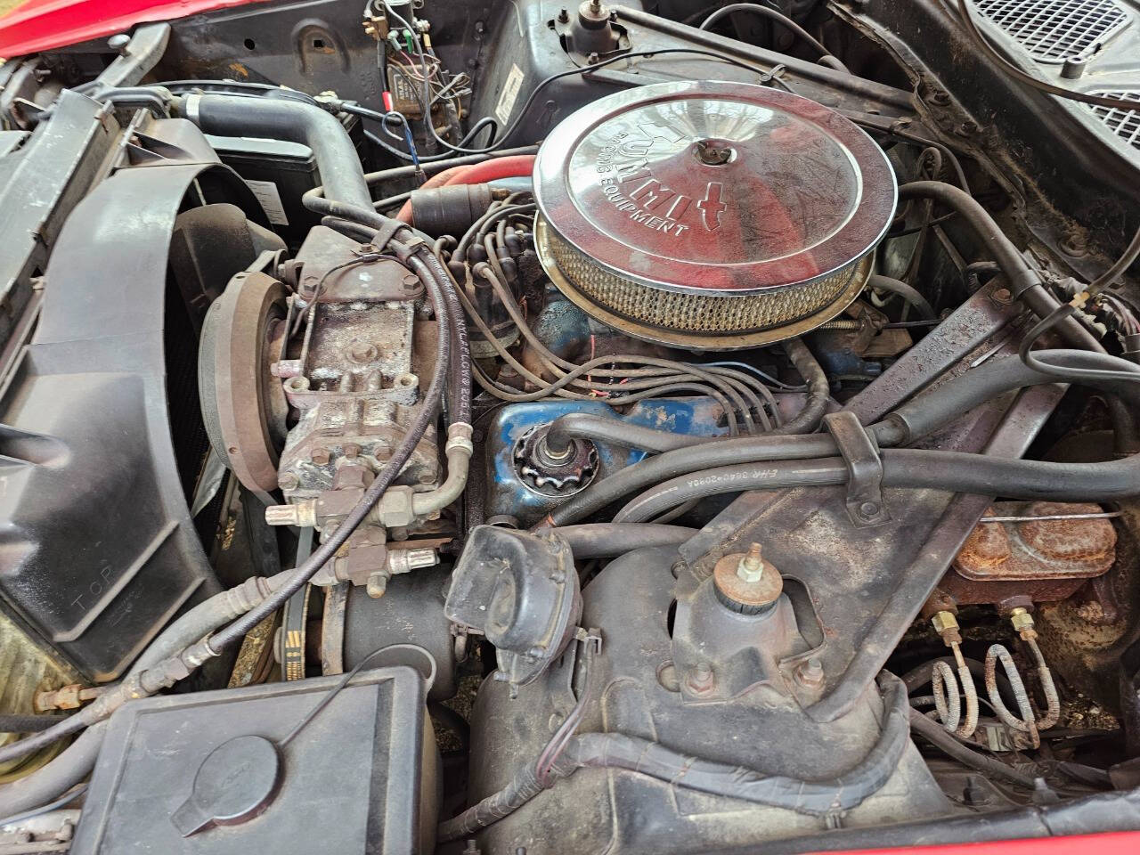 1971 Ford Mustang 174