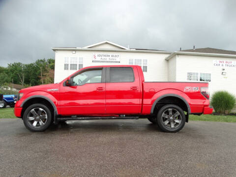 2013 Ford F-150 for sale at SOUTHERN SELECT AUTO SALES in Medina OH