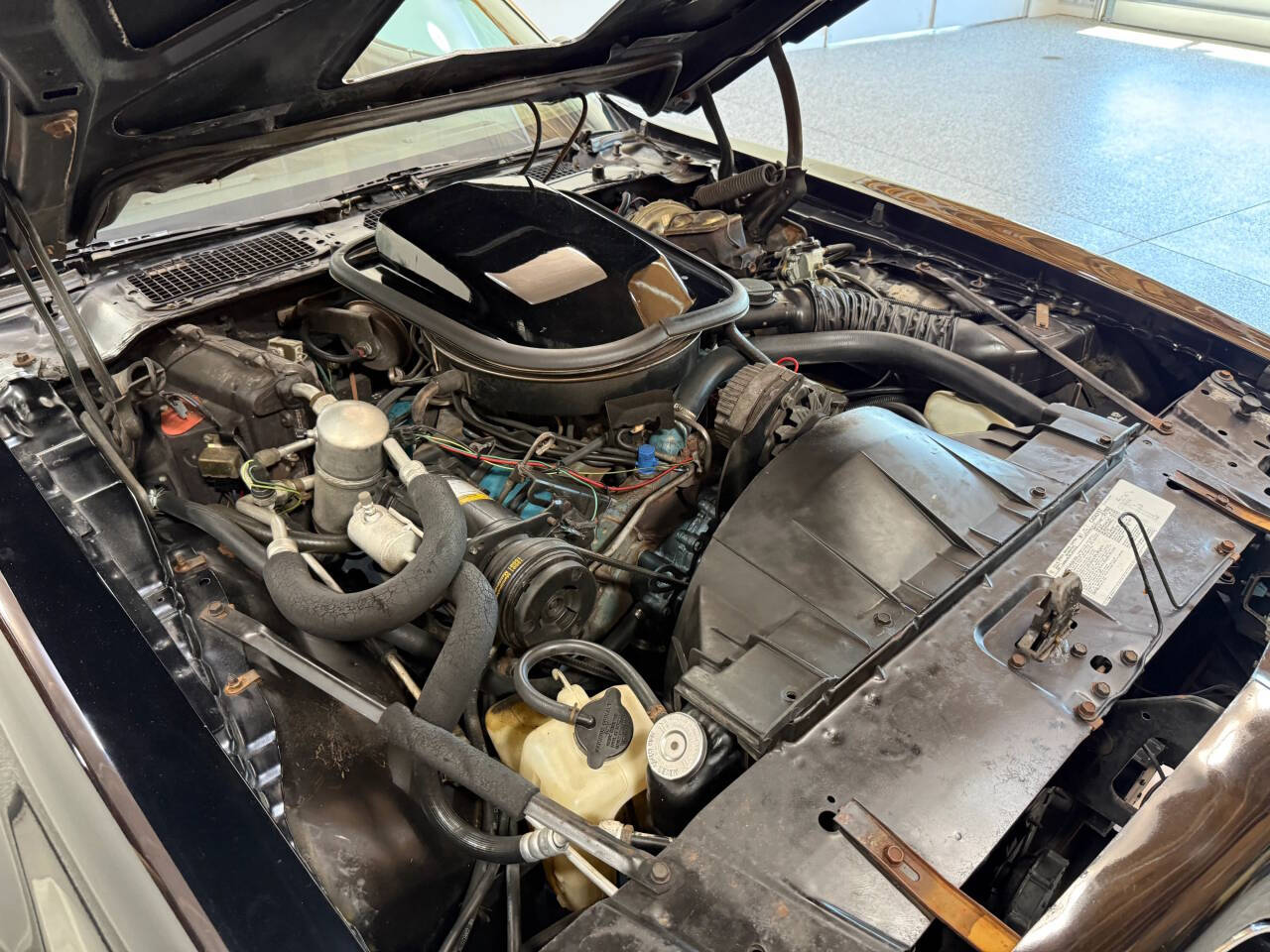 1978 Pontiac Trans Am 50