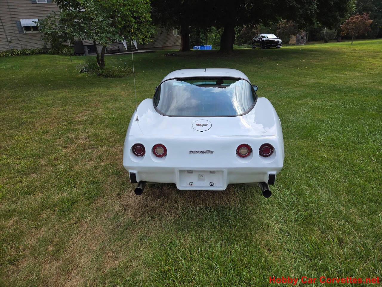 1979 Chevrolet Corvette 4