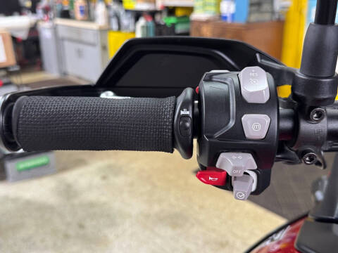 2024 Triumph Tiger 900 GT Pro