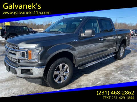 2019 Ford F-150 for sale at Galvanek's in Cadillac MI