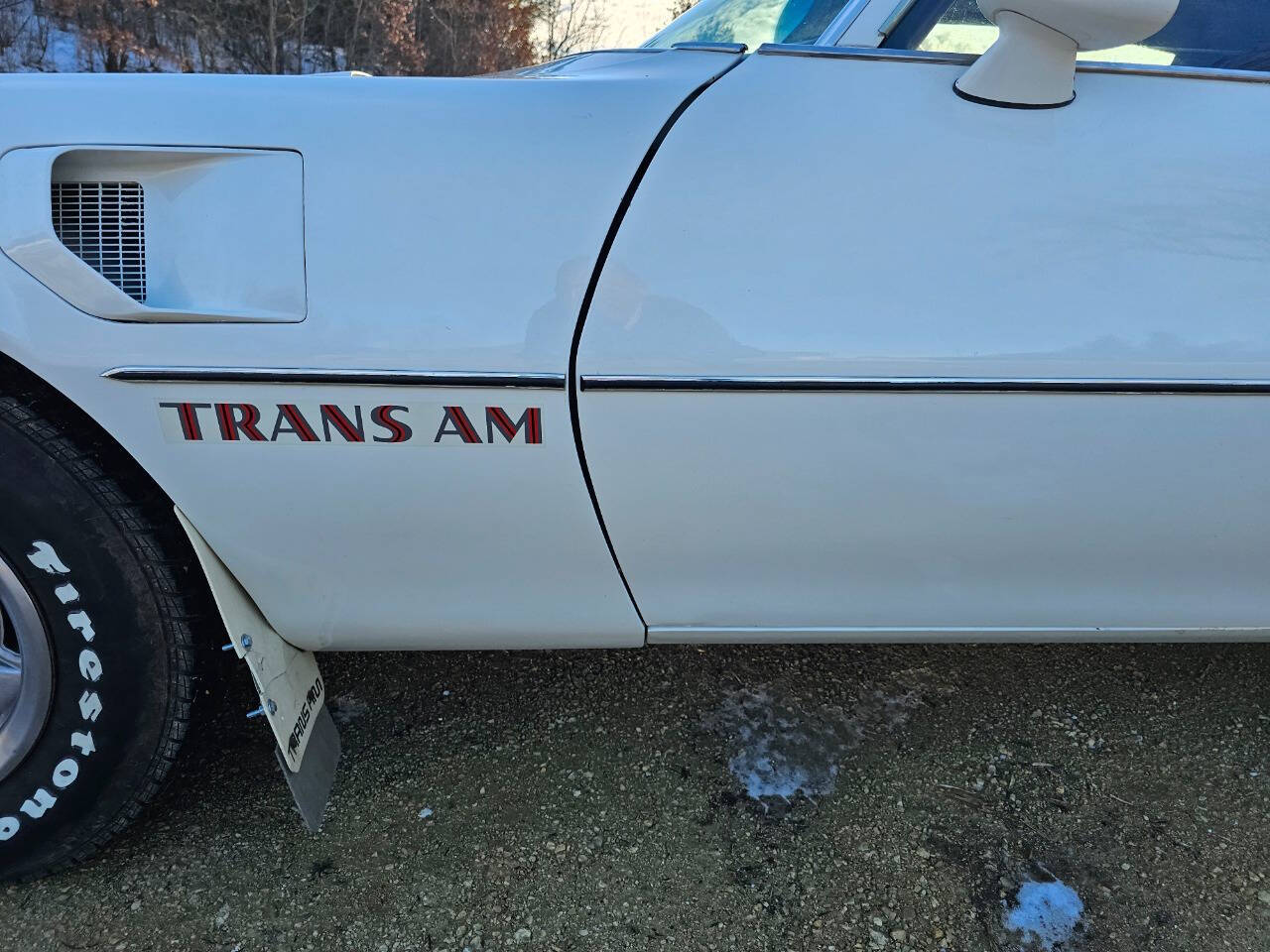 1976 Pontiac Trans Am 190