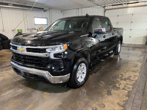 2022 Chevrolet Silverado 1500 for sale at Monster Motors in Michigan Center MI