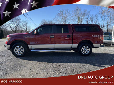 2014 Ford F-150 for sale at DND AUTO GROUP in Belvidere NJ