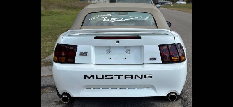 1999 Ford Mustang COBRA SVT photo 9