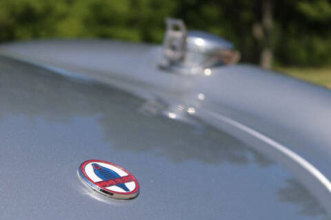 1965 Shelby Cobra