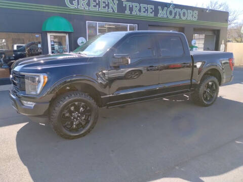 2022 Ford F-150 for sale at Green Tree Motors in Elizabethton TN